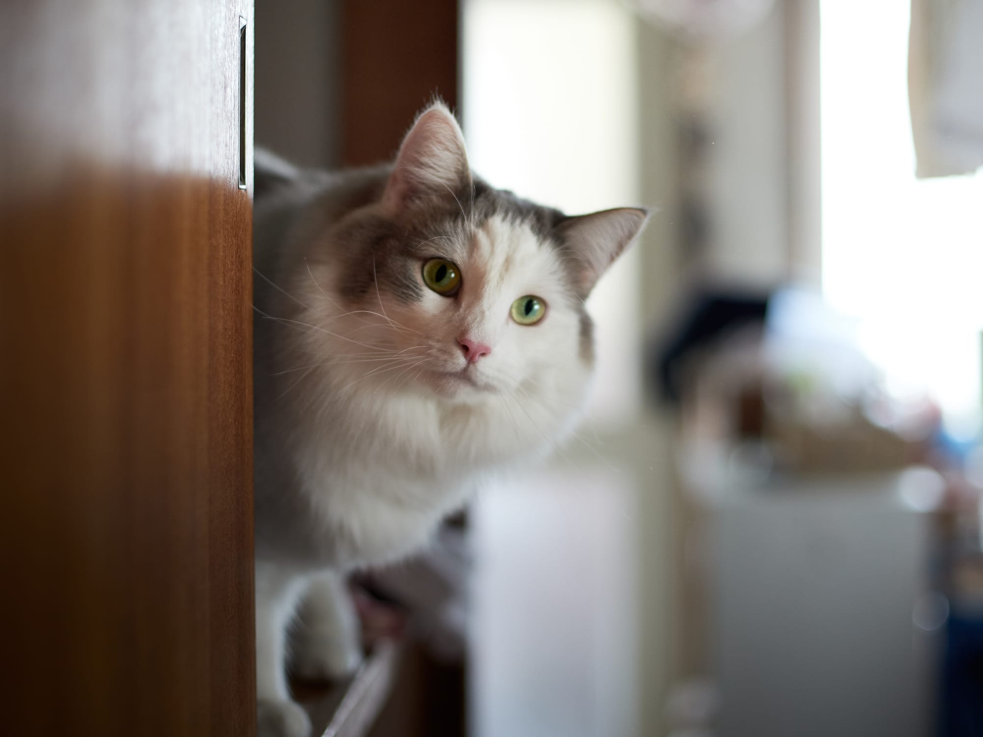 中島生活｜中部日常必備指南書